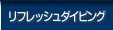 ���t���b�V��