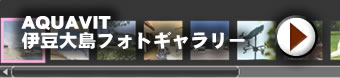 �ɓ��哇�t�H�g�M�������[