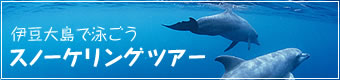 �ɓ��哇�̃X�m�[�P�����O�c�A�[