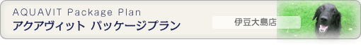 アクアヴィットパッケージプラン