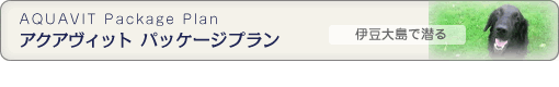 アクアヴィットパッケージプラン