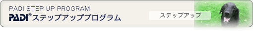 ステップアッププログラム